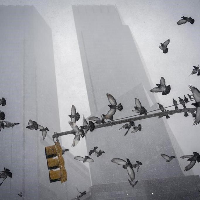 Outside lights are deadly to birds, especially this time of year